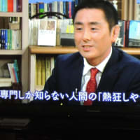 100分de名著　オルテガ　「大衆の反逆　」　①　大衆の時代　「17」