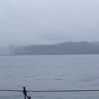 周参見へ