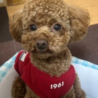 仕事の後テニス！