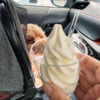 ありがとうございました🐾