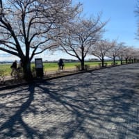 館林美術館へ