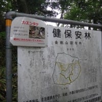 久し振りに金剛山に登った２