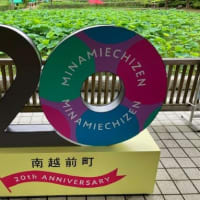 【南越前町の花はす公園】日帰りバス招待旅②2024/7/10