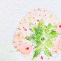 三月の白いいちご