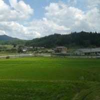 稲刈りが半分終わった宮迫の田んぼ