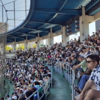 全国高校野球大会地区予選