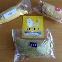 三月の雪が降る