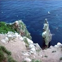 海鳥のサンクチュアリ　天売島と森林浴を楽しむメルヘンの焼尻島　２４回目　天売島