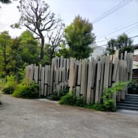 森のコミチ
