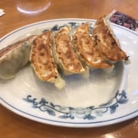 長岡市　ヒグマ