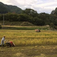 １０月１５日　おお田の米刈り