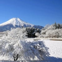 雪景色の風景でとても素敵でした。