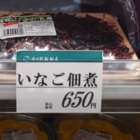 新規OPENの道の駅おおえへ