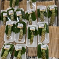 いちかわごちそうマルシェ『安曇野のアスパラガス』