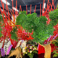 お花の個展「假屋崎省吾の世界展」へ♪
