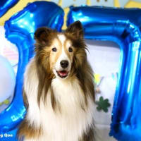 Happy 17th Birthday, Qoo♪　～産まれてきてくれてありがとう～