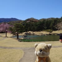 小幡陣屋(2025年4月)