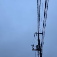 2025/06/26