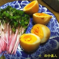 まこと屋謹製韓国キムチのせ戸田久のもりおか冷麺