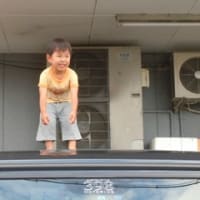 駈くん　水風呂入ったり、車に乗ったら豹変？２0110626
