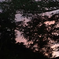 久々の夕焼け