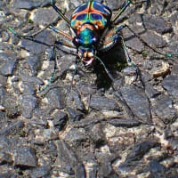 6月二回目の教室　虹色に輝く