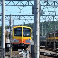 三岐鉄道 東藤原(2024.8.11) 旧西武 ７５１系、旧ＪＲ東海 ２１１系 並び