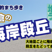 千倉の海岸段丘