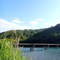 ５月１５日（月）のつぶやき（リブログ）