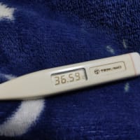 上がったり下がったり