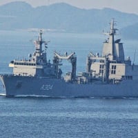 オーストラリア海軍「ストールワート」