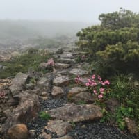 霧雨の中丸山コース　ピストン
