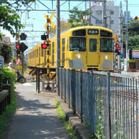 玉川上水緑道を歩く！