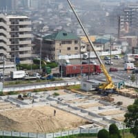 一年の半分を過ぎました