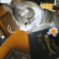 匂いは漏れる