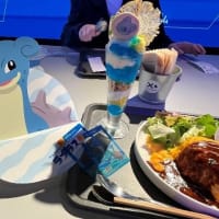 医師とポケモンマスターの二刀流を目指し
