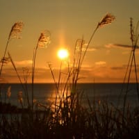今日の夕日