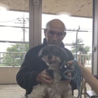 ハローアニマル🐕