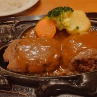 【誕生日はバイク旅だ】その６.ハンバーグとたい焼き