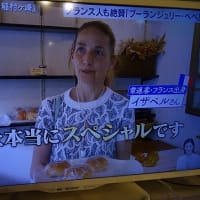早いもので今年も一年の半分が終わり、鎌倉の夏もいよいよ本番…