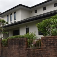 雨季