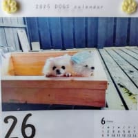 高木いさお「充分」