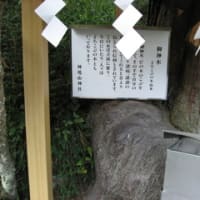 神社②　よろこぶの木