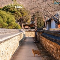 ニャチャン・カインホア観光協会は大邱と釜山（韓国）の観光を促進します