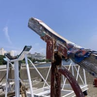 マリン広場ほか