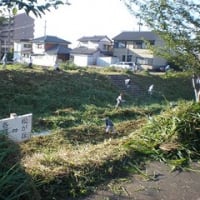 市民清掃　大安寺川の草刈り