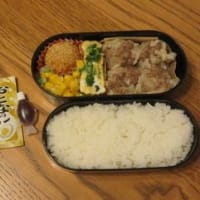 お弁当１２８６～１２９０