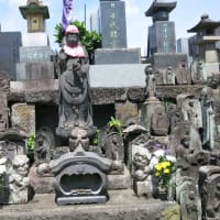 ぶら散歩～世田谷野毛公園・善養密寺