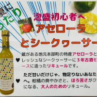 店頭に並ぶ『もとぶなリキュール』アセローラとシークヮーサー