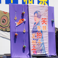 加須市民平和祭 2024｢ジャンボ鯉のぼり」